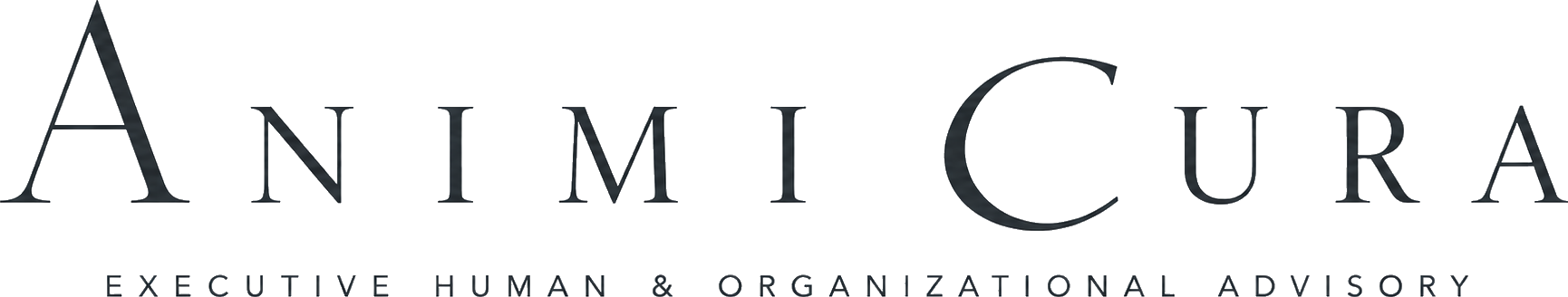Animi Cura — Executive Human & Organizational Advisory